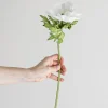 Blomst - Anemone H43cm Hvit