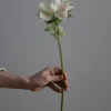 Blomst - Anemone H43cm Rosa