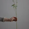 Blomst - Angelica H56cm