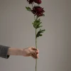 Blomst - Chrysanthemum H60cm