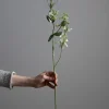 Blomst - Erteblomst H69cm Hvit