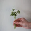 Blomst - Hvitveis H18cm
