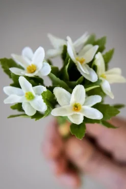 Blomst - Hvitveis H18cm