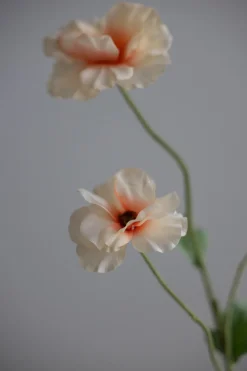 Blomst - Japansk Ranunkel H62cm