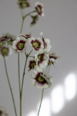 Blomst - Leucocoryne H89cm Grønn