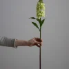Blomst - Levkøy H70cm