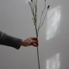 Blomst - Pimpinell 80cm Rosa