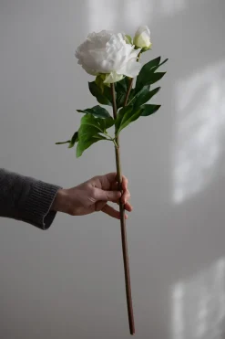 Blomst - Pion 65cm Hvit