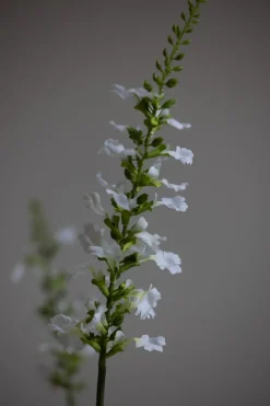 Blomst - Porselensveronika H100cm