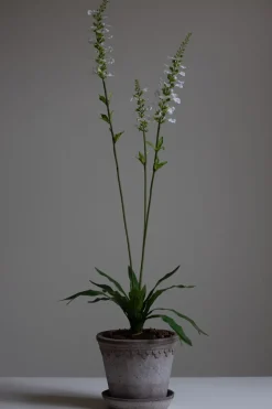 Blomst - Porselensveronika H100cm