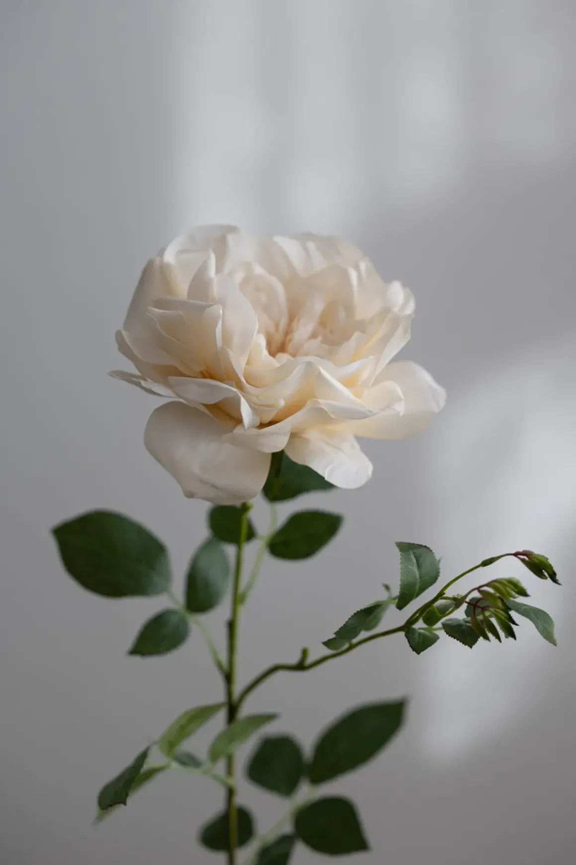 Blomst - Rose 90cm Gul