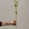 Blomst - Stjerneskjerm H55cm
