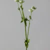 Blomst - Stjerneskjerm Hvit
