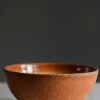 Bolle - Spring Bowl Mamey Sapote