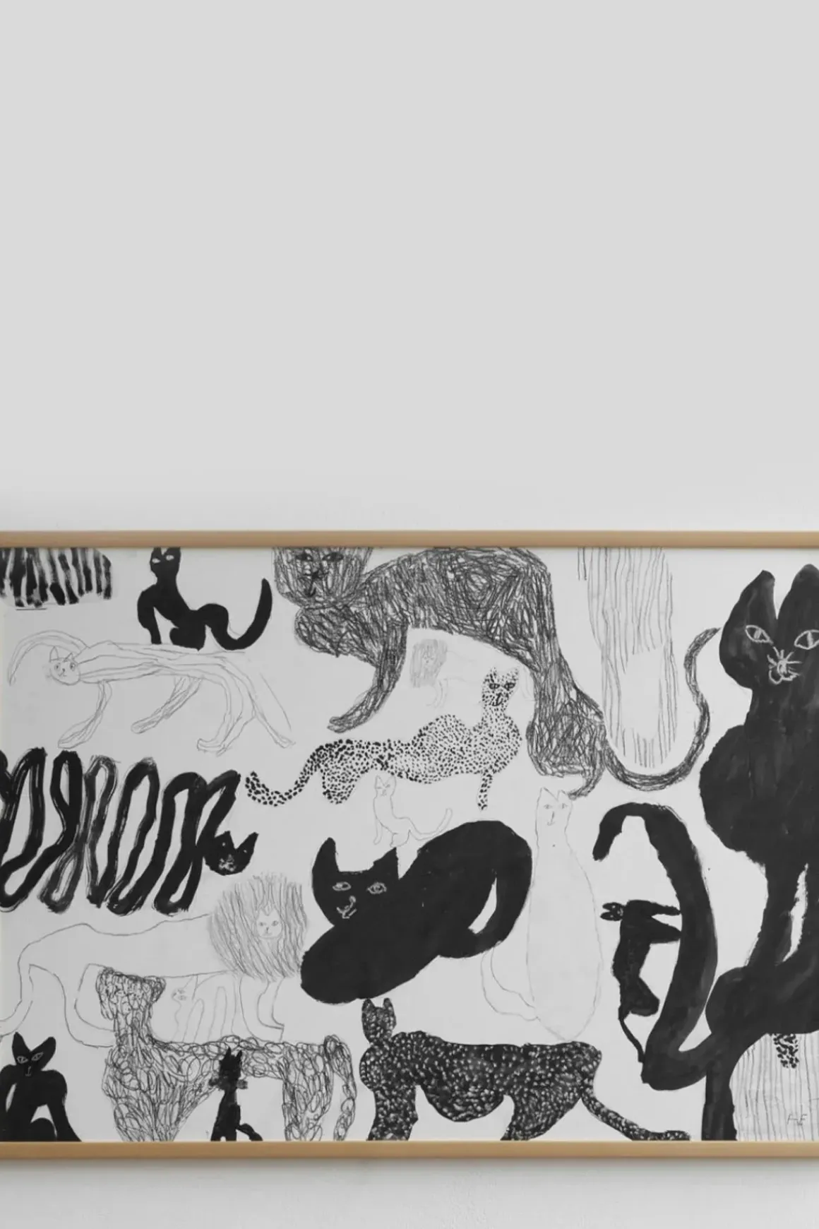 Plakat - Cats 70x50cm