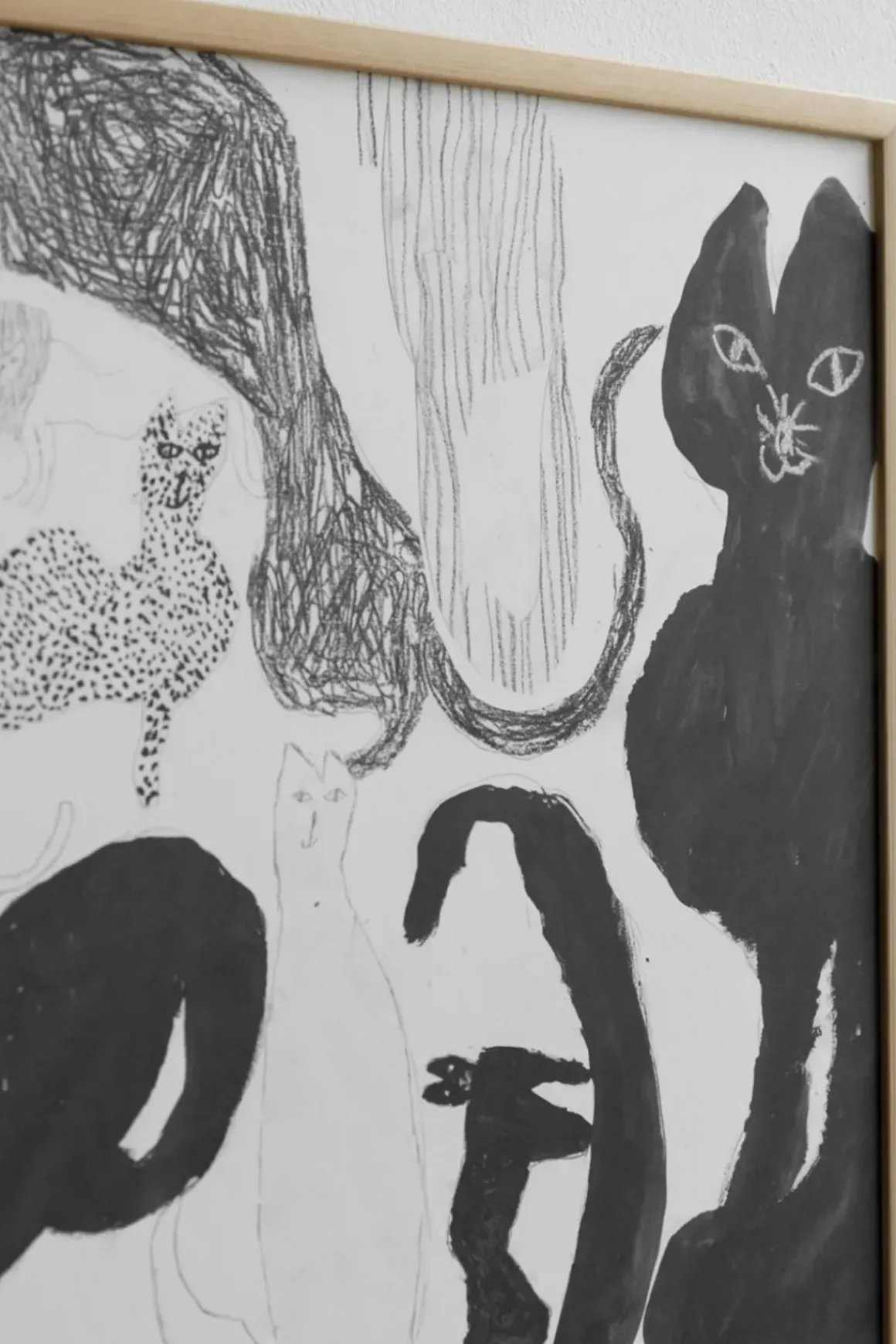 Plakat - Cats 70x50cm