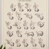 Plakatlist - Eik 71cm