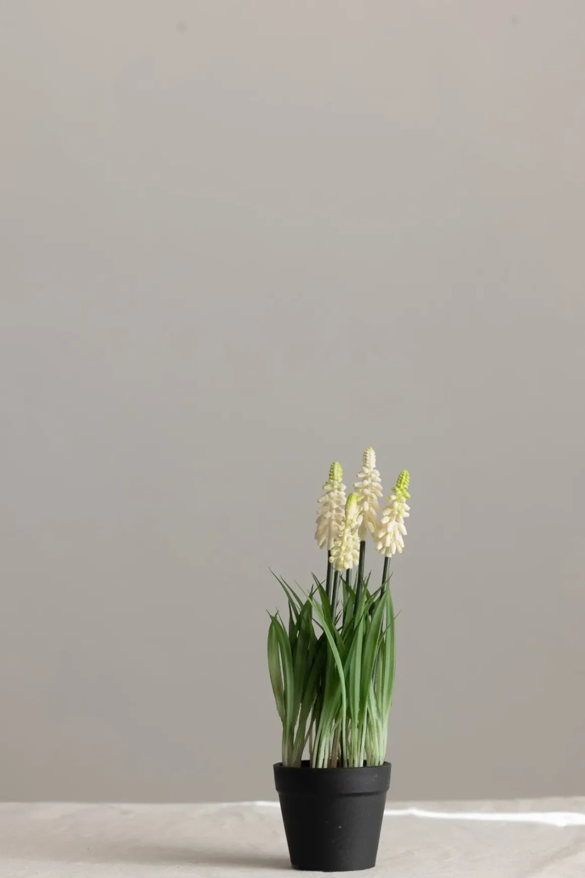 Potteplante - Perleblomst H28cm