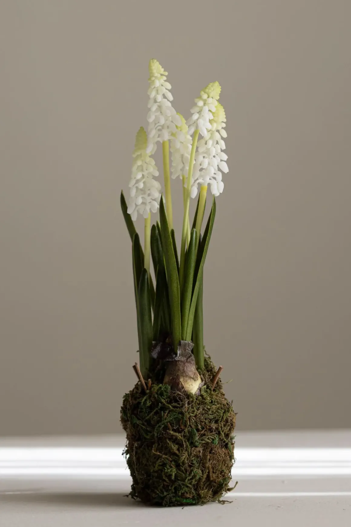 Potteplante - Perleblomst H25cm