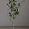 Tre - Oliven H90cm