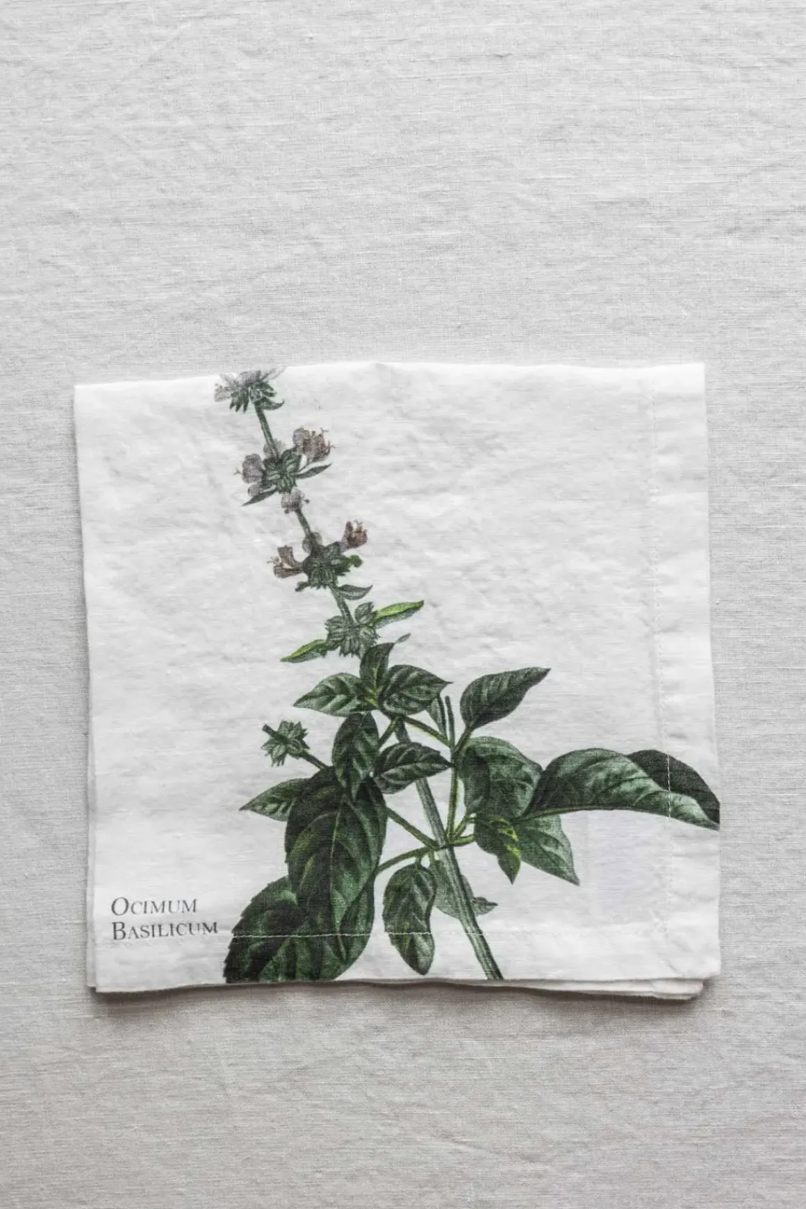 Tøyserviett - Aromatic Herbs 45x45cm Basilikum