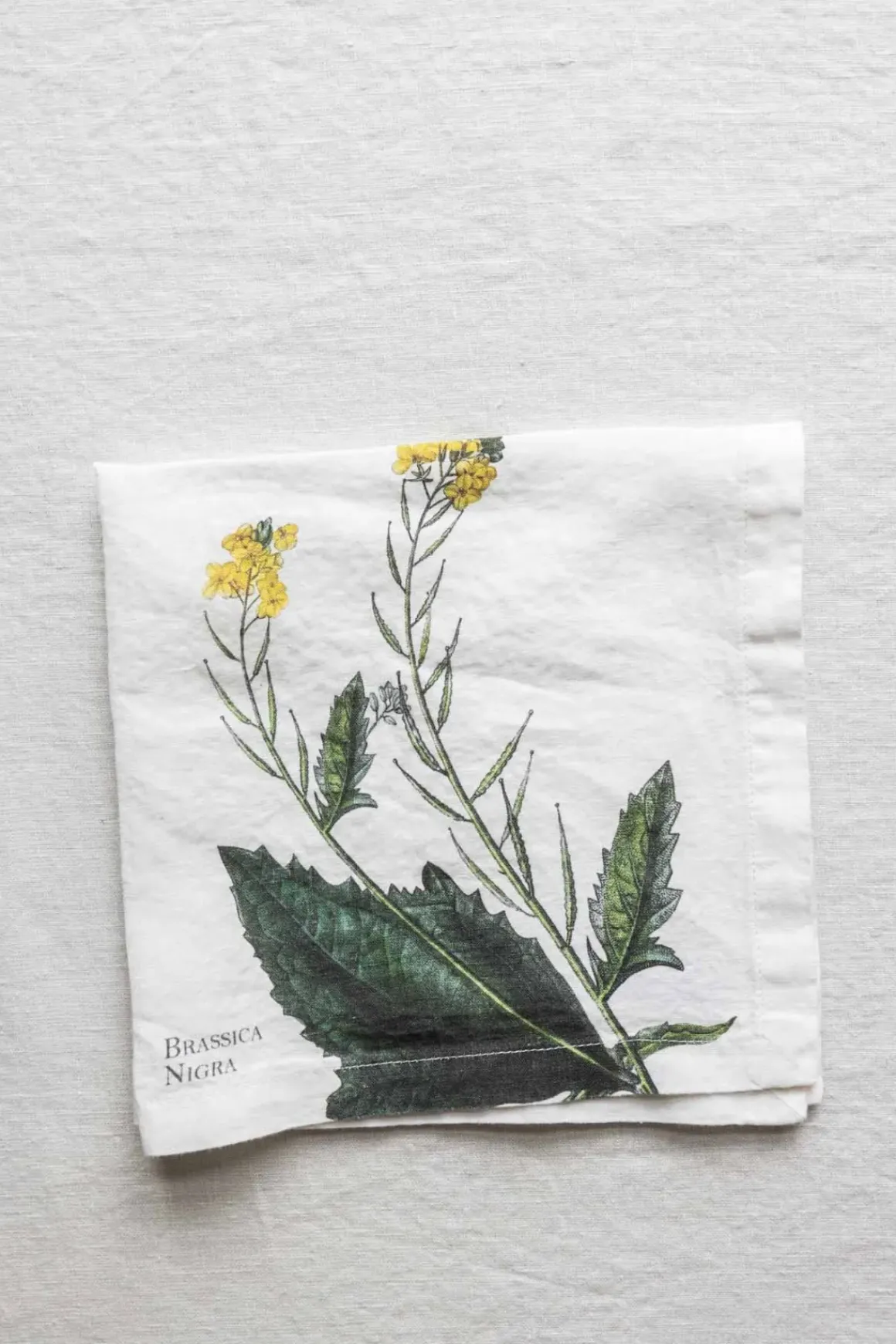 Tøyserviett - Aromatic Herbs 45x45cm Raps