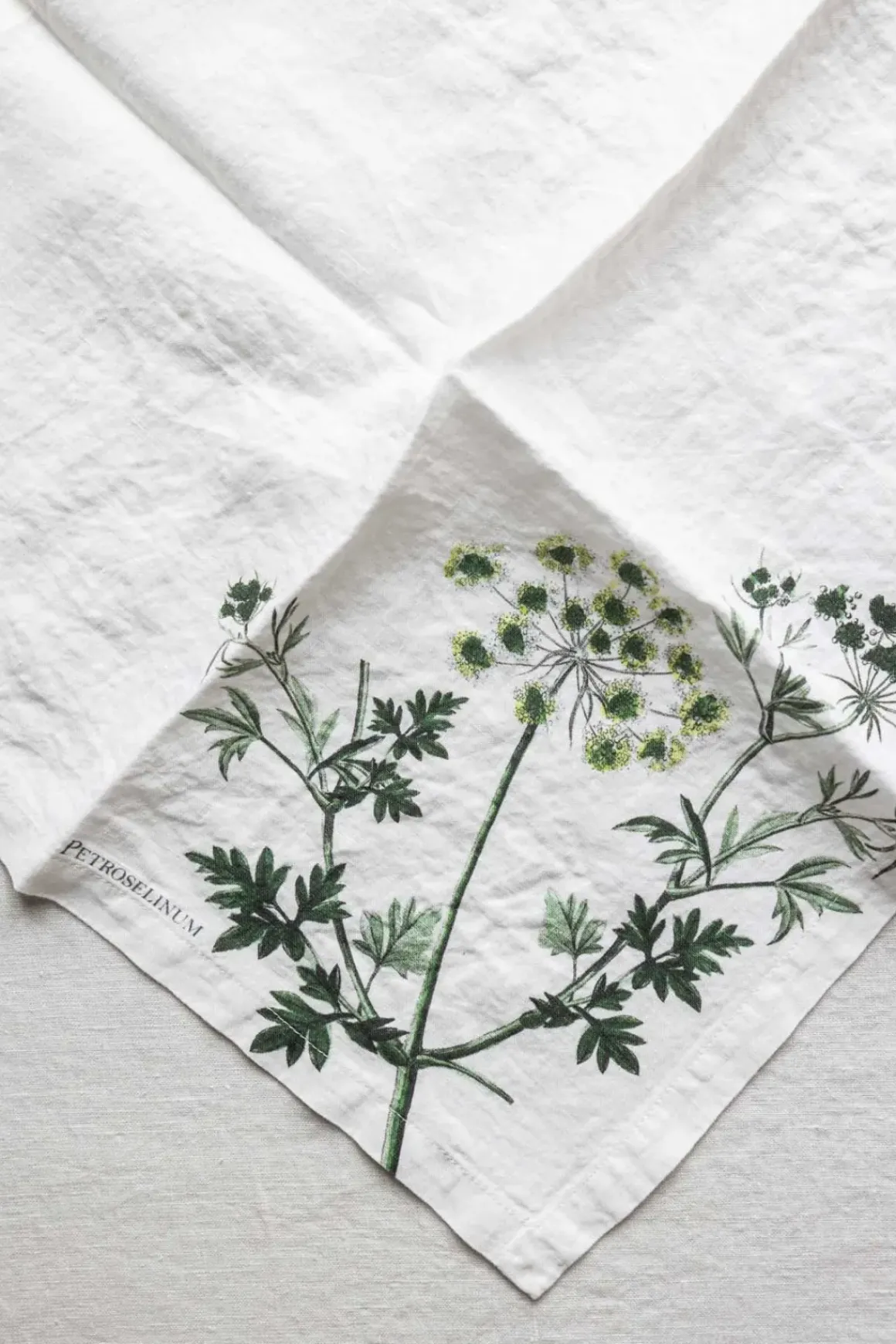 Tøyserviett - Aromatic Herbs 45x45cm Persille