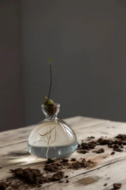 Vase - Avokado Klar