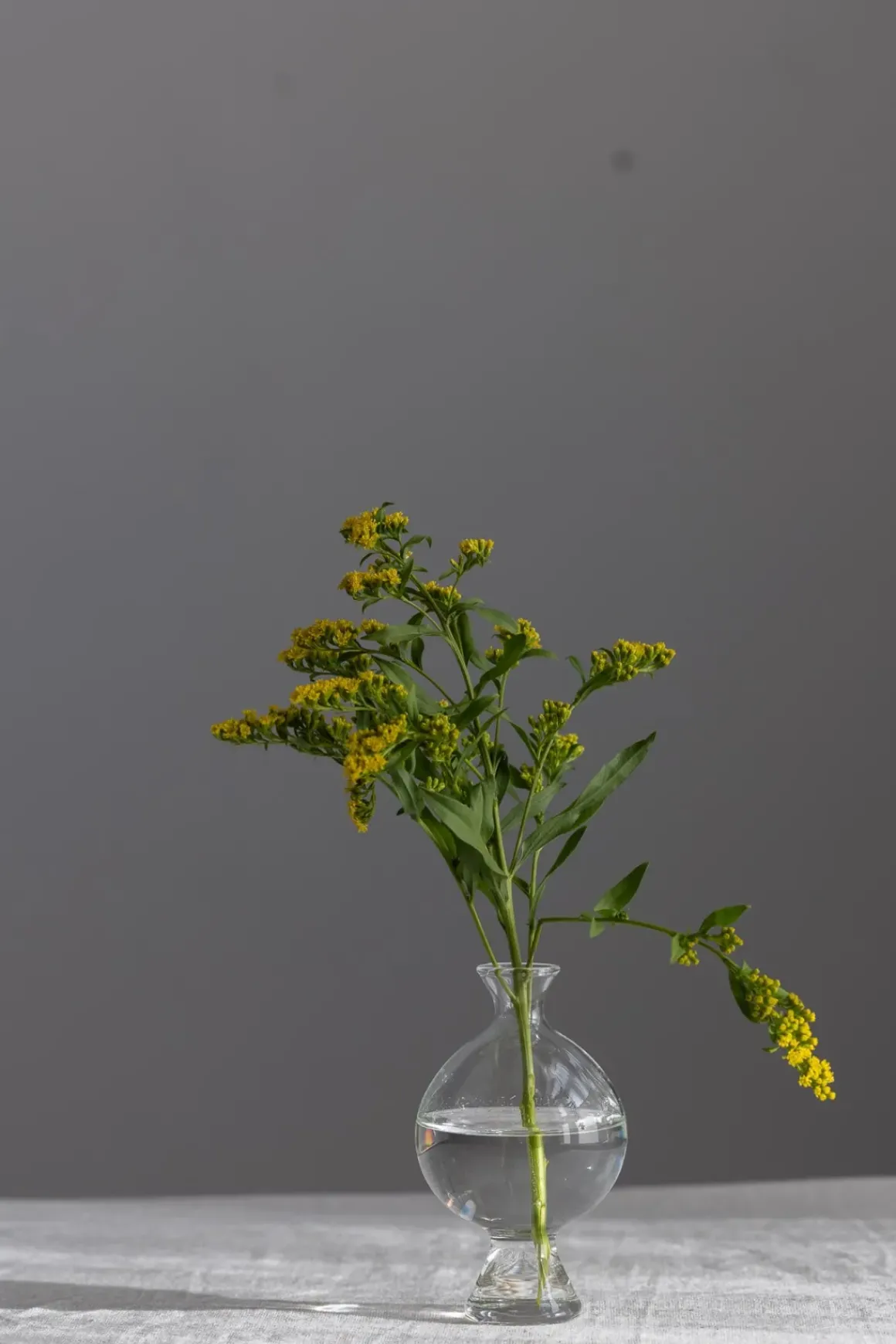Vase - Como M
