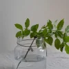 Vase - Glass H18cm Klar
