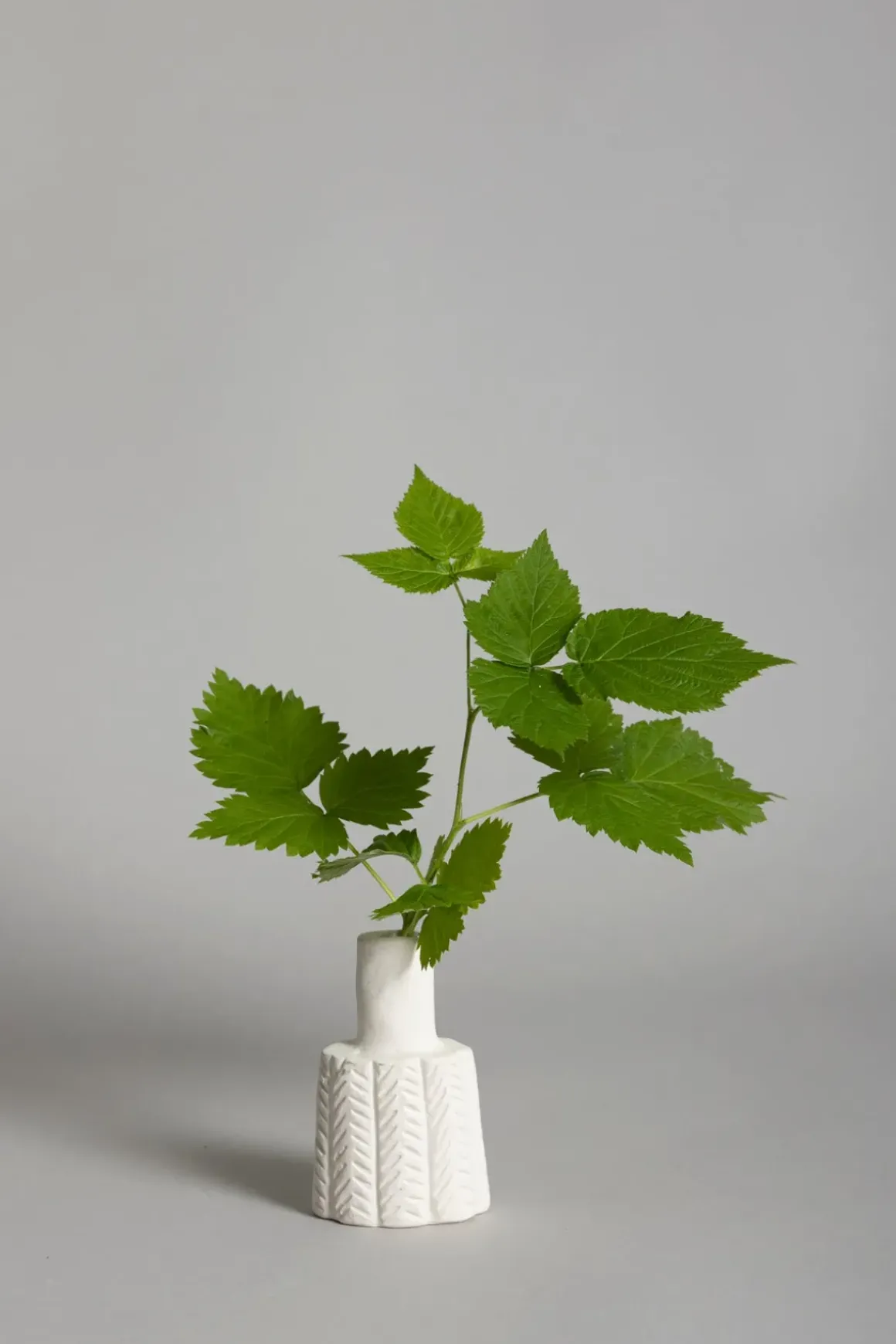 Vase | Molly Beige No3